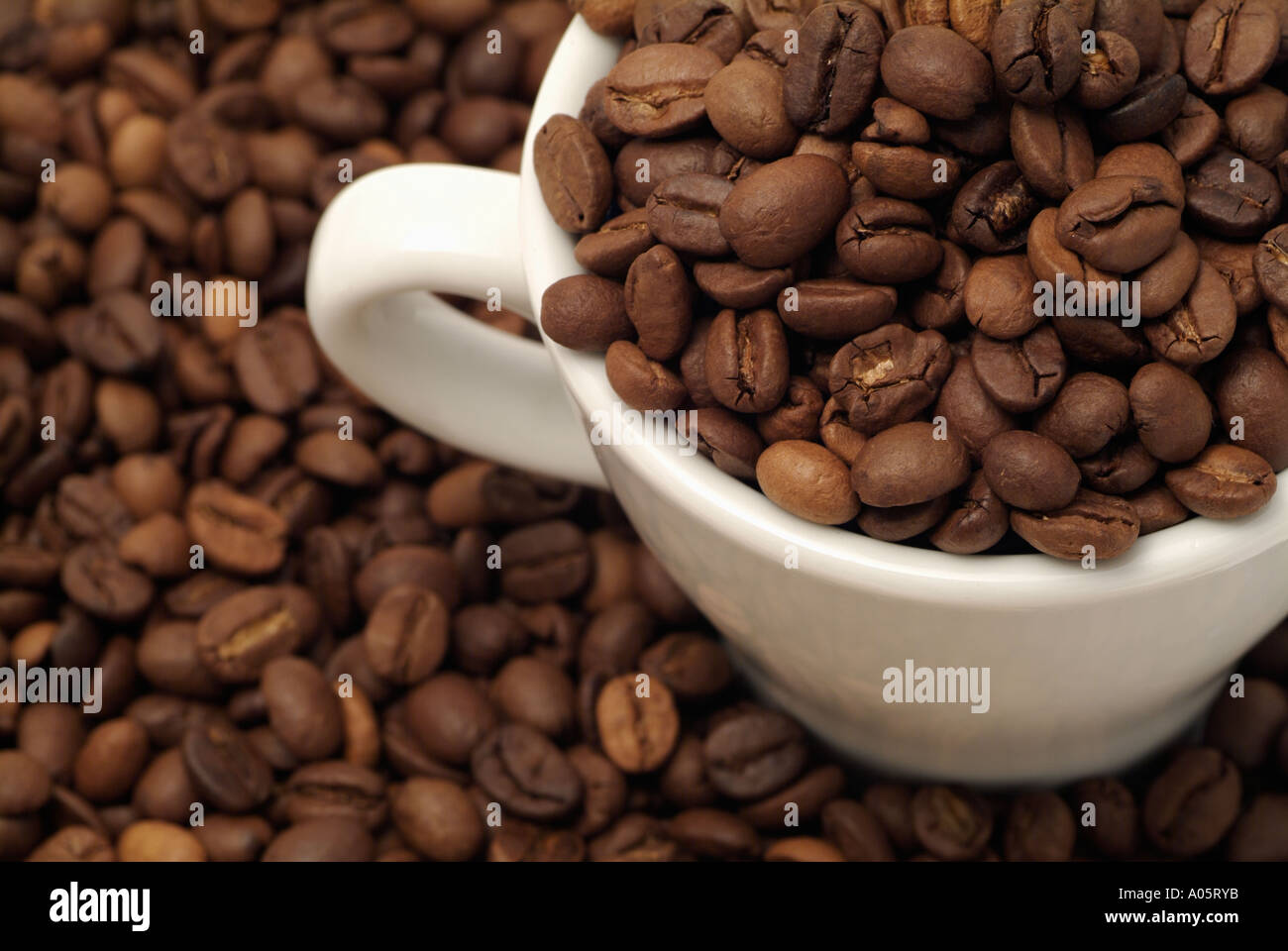 Tasse remplie de grains de café, High Angle, Close Up. Banque D'Images