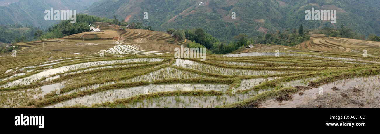 Nord-ouest du Vietnam Sapa Hill zone tribale Ban Ho Village inondé les rizières en terrasses de l'agriculture avant de labourer vue panoramique Banque D'Images