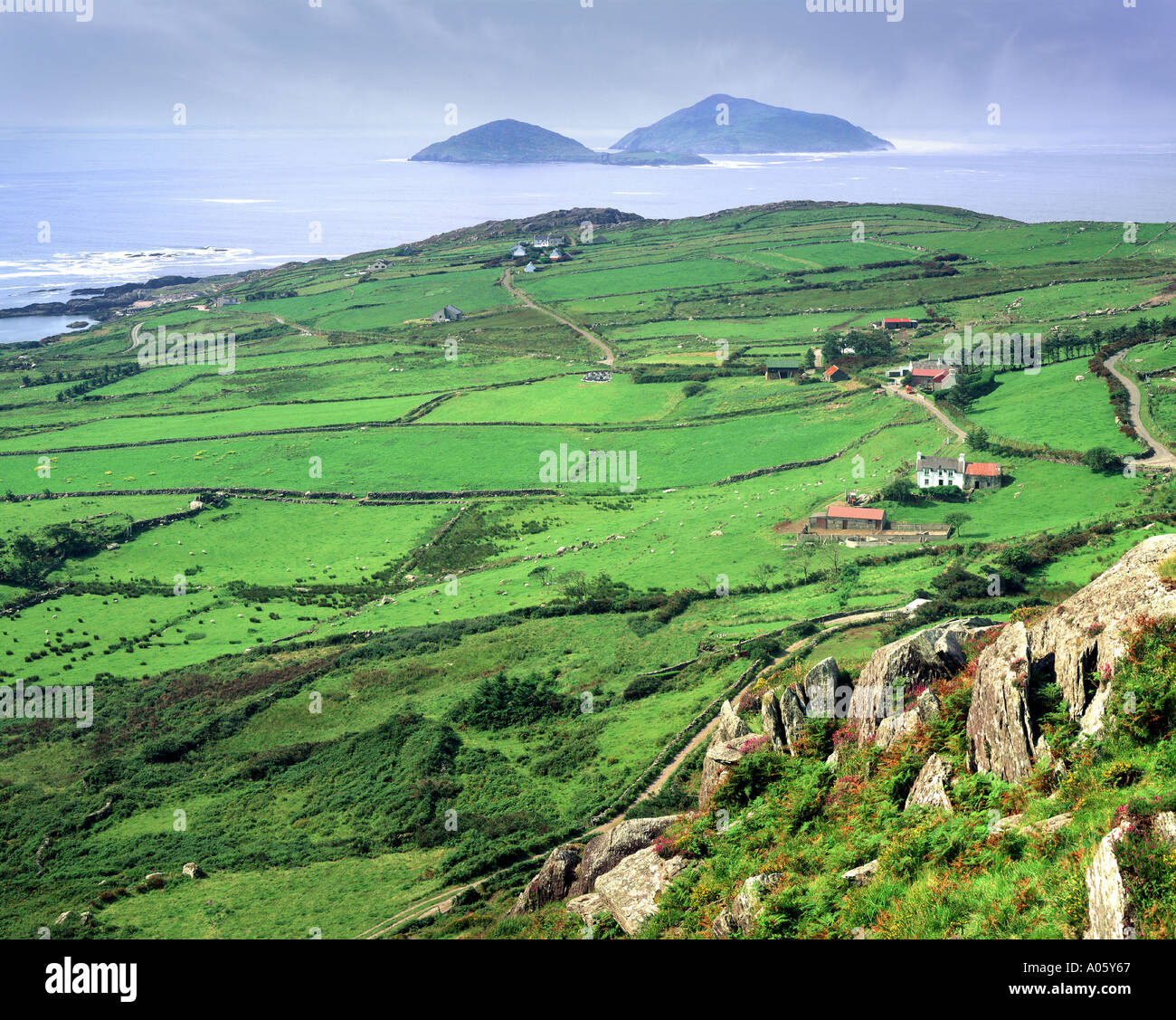 IE - CO. KERRY: Derrynane Bay montrant les îles Deenish et Scaraff le long de l'anneau de Kerry Banque D'Images