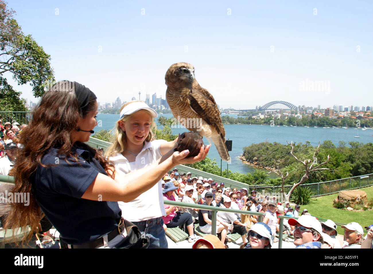 Le spectacle d'oiseaux au Zoo de Taronga Sydney NSW Australie Banque D'Images