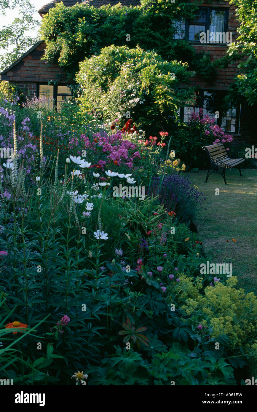 Tall white daisies et phlox rose en été, jardin en face de la maison de campagne traditionnelle avec plante grimpante vigoureuse Banque D'Images
