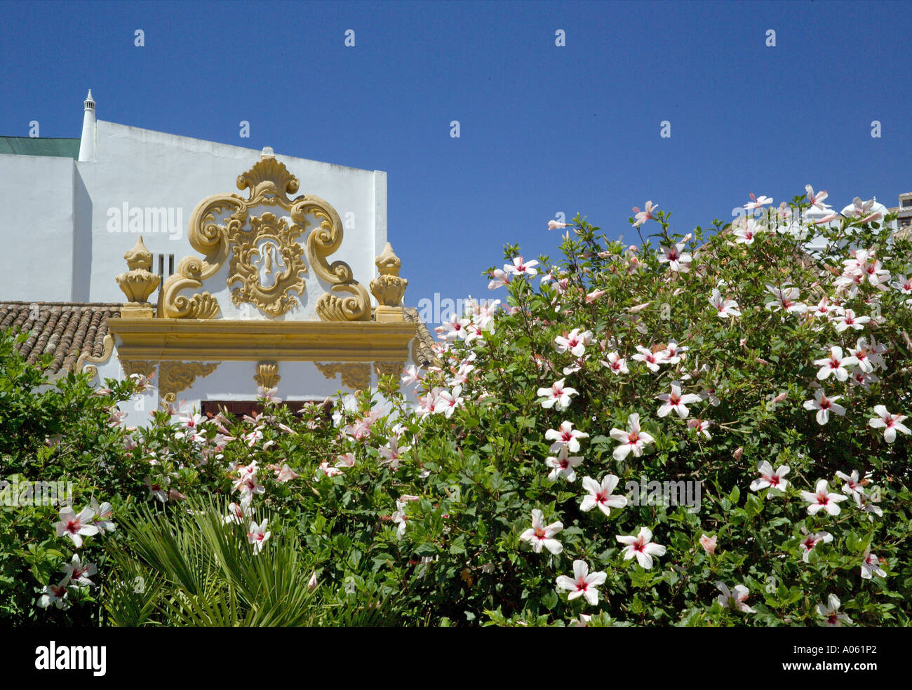 Algarve, Lagos, hibiscus en fleur et bâtiment historique Banque D'Images