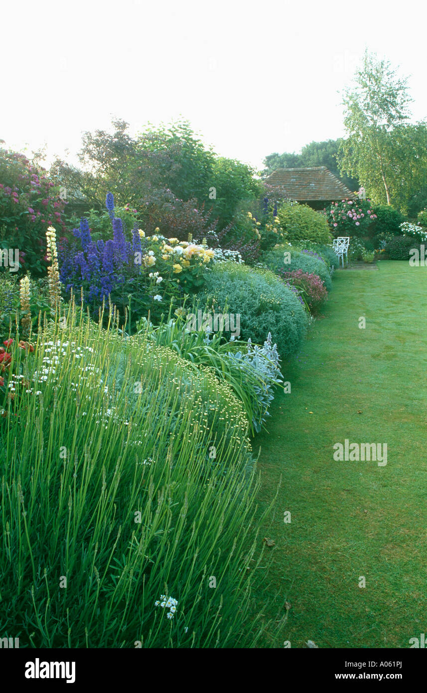 Delphinium bleu et lavande en grand à côté des frontières herbacées lawn Banque D'Images