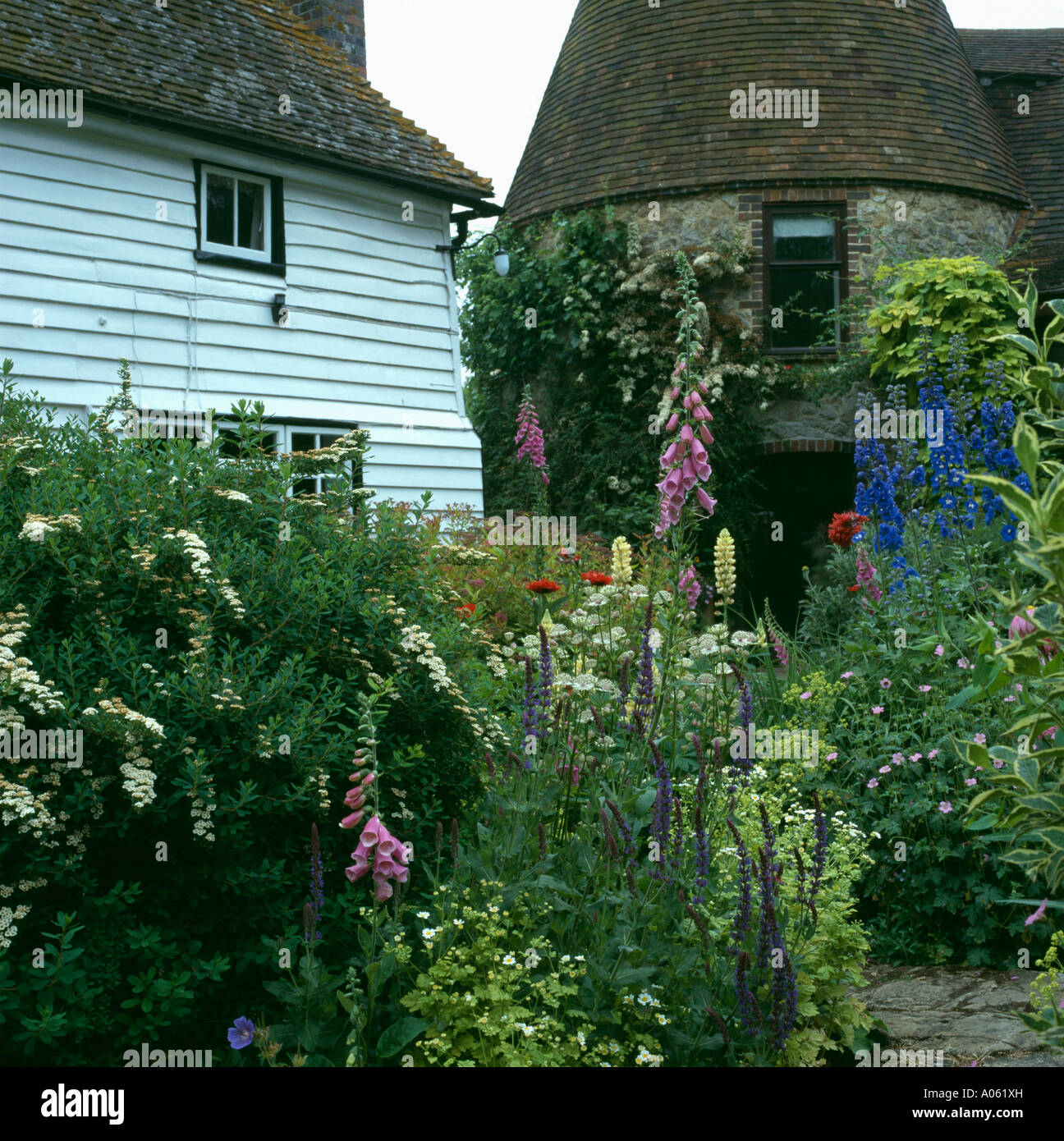 Digitales et delphiniums en bordure de fleurs peintes en blanc devant oast house à colombages Banque D'Images