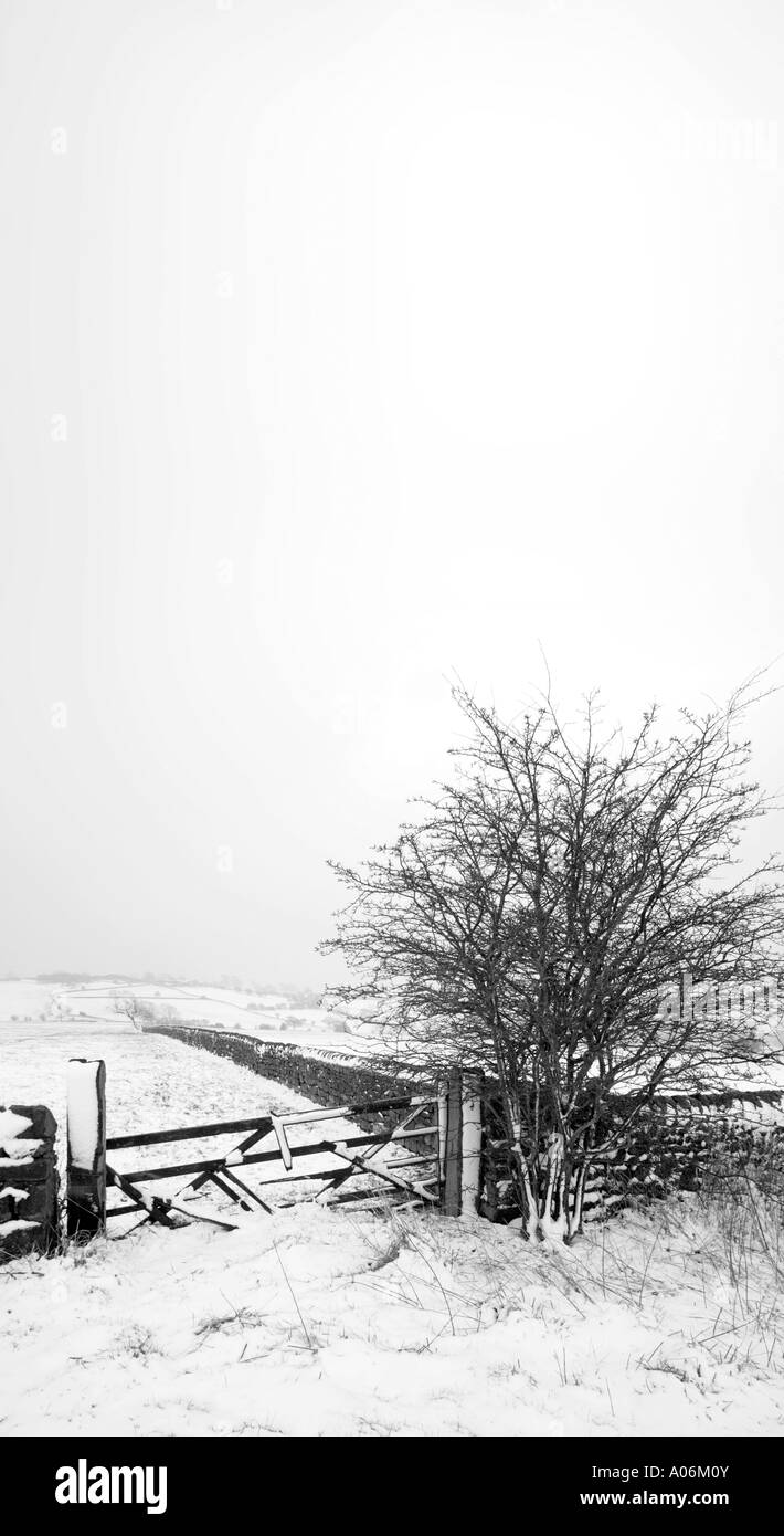 Une scène d'hiver dans les terres agricoles près de Harrogate North Yorkshire Banque D'Images