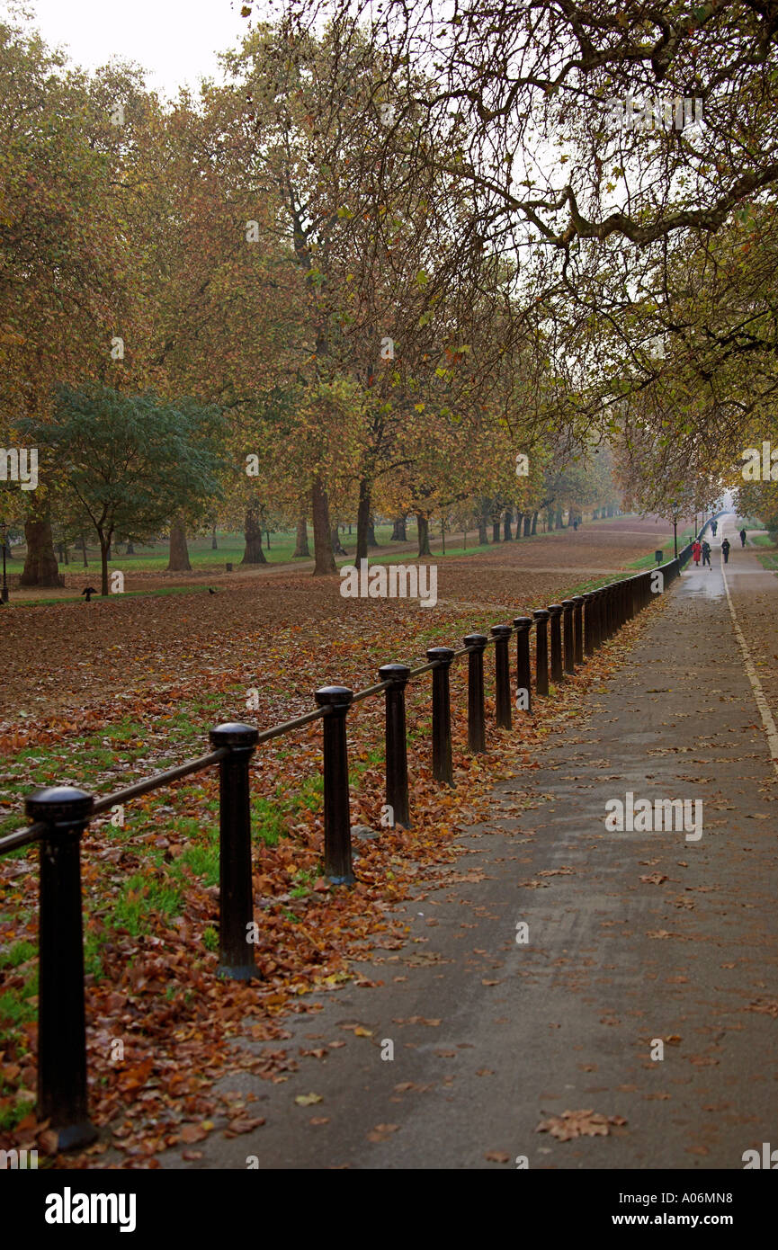 Hyde Park Londres Rotten Row Banque D'Images