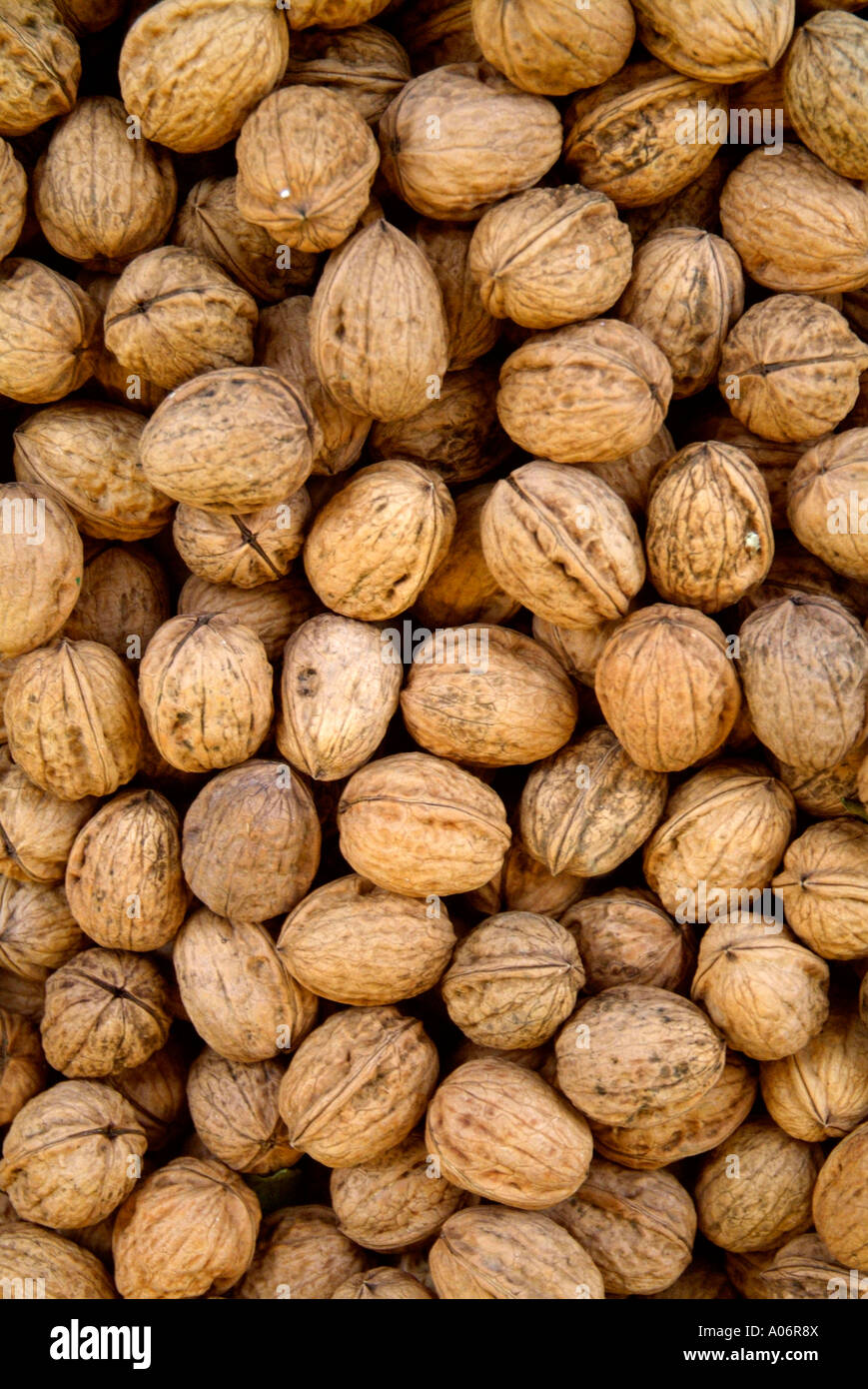 Ensemble en noyer naturel de l'unshelled shell ingrédient sucré récolte protéine saine alimentation santé La noix fraîche discontinues balance Banque D'Images