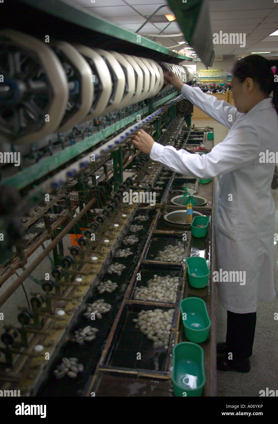 Travailleur de l'usine de coton de chinois Banque D'Images