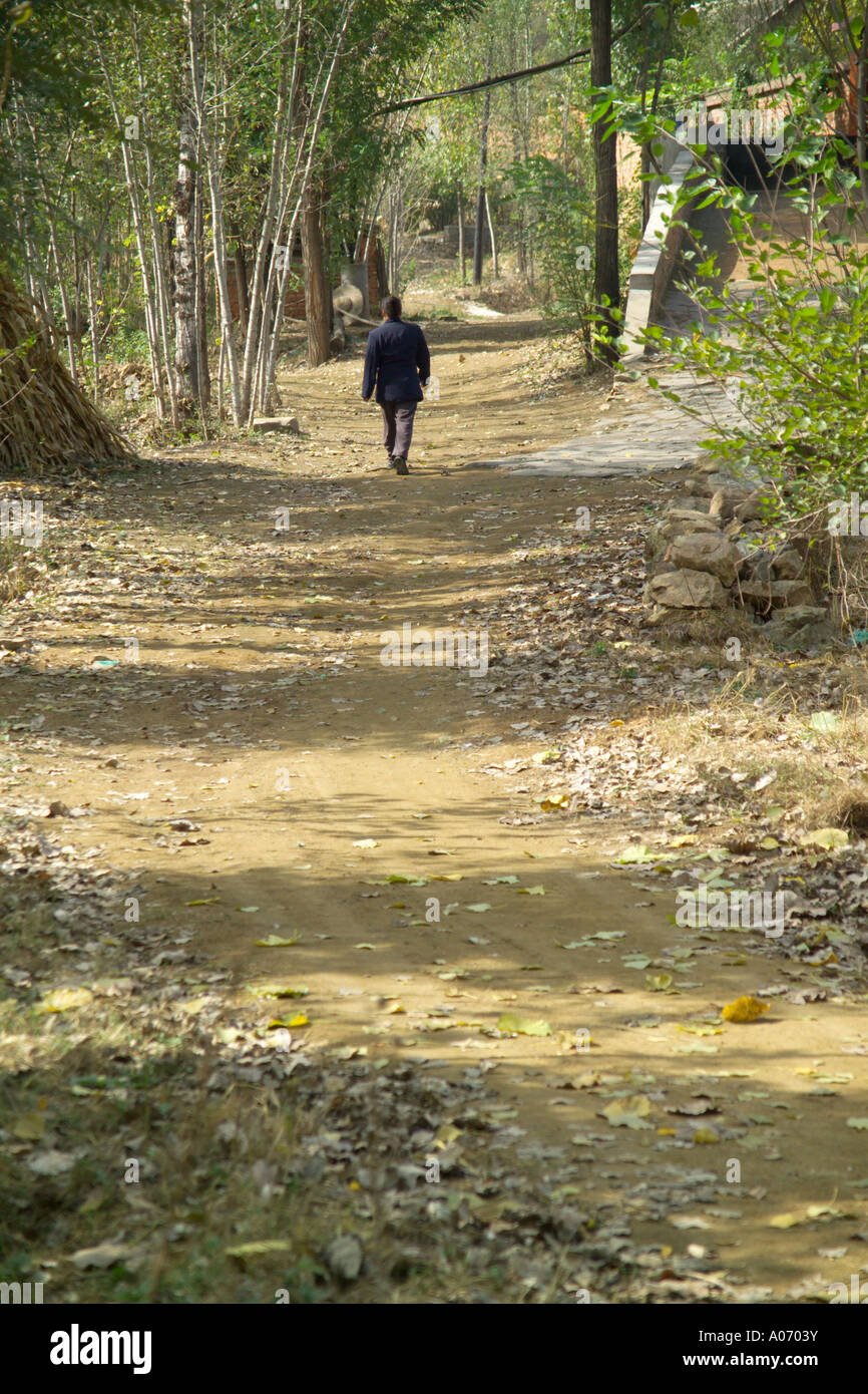 Promenade dans les bois Banque D'Images