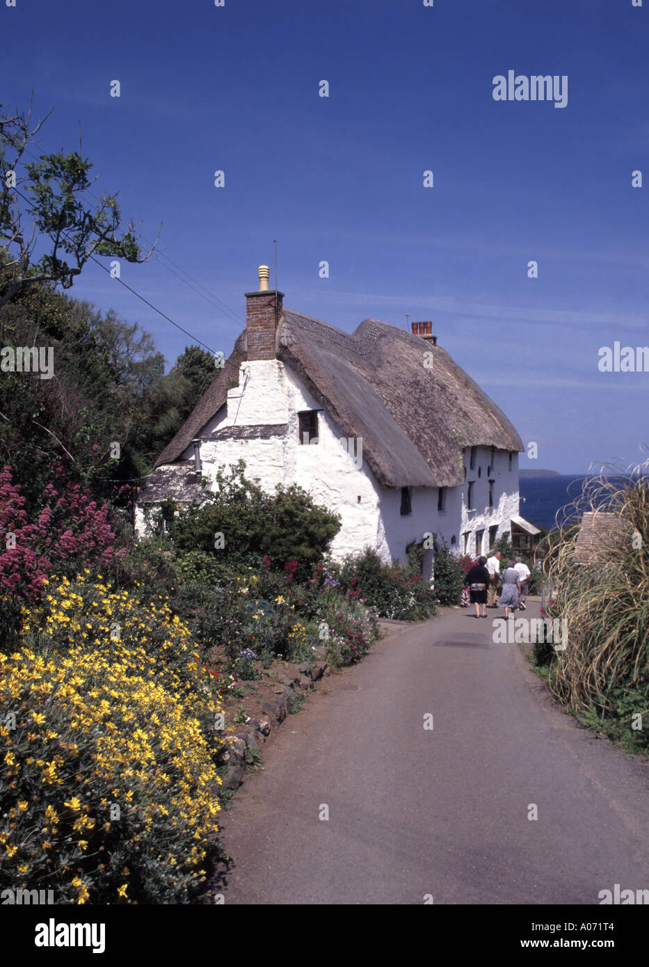 Fleurs et toit de chaume maisons de personnes marchant dans la voie étroite de Cornouailles vers une vue sur la mer à Church Cove dans la paroisse de Landewednack Cornwall Royaume-Uni Banque D'Images