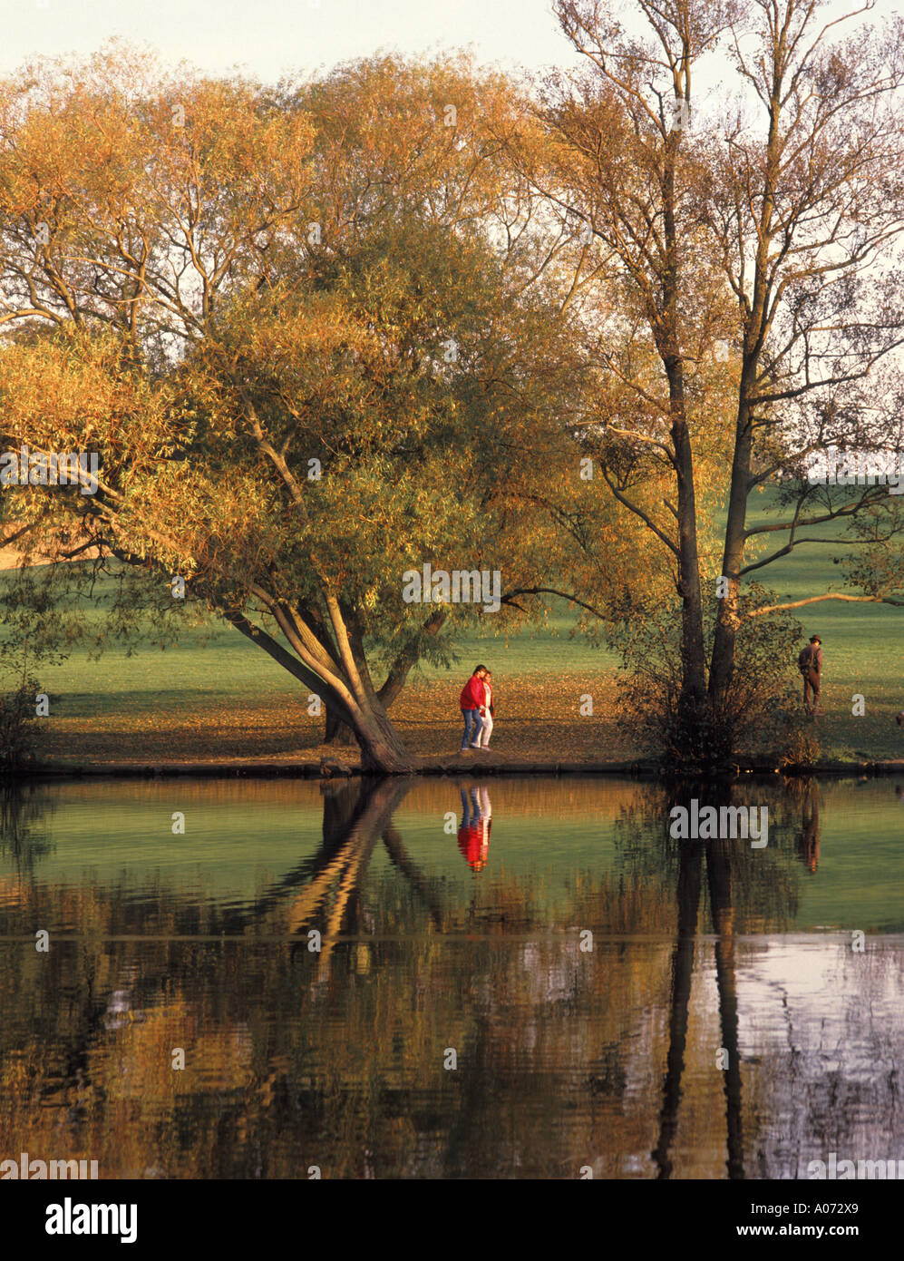 Brentwood Essex Weald Country Park Lake avec des réflexions d'arbre d'automne couleurs et de marcheurs Banque D'Images