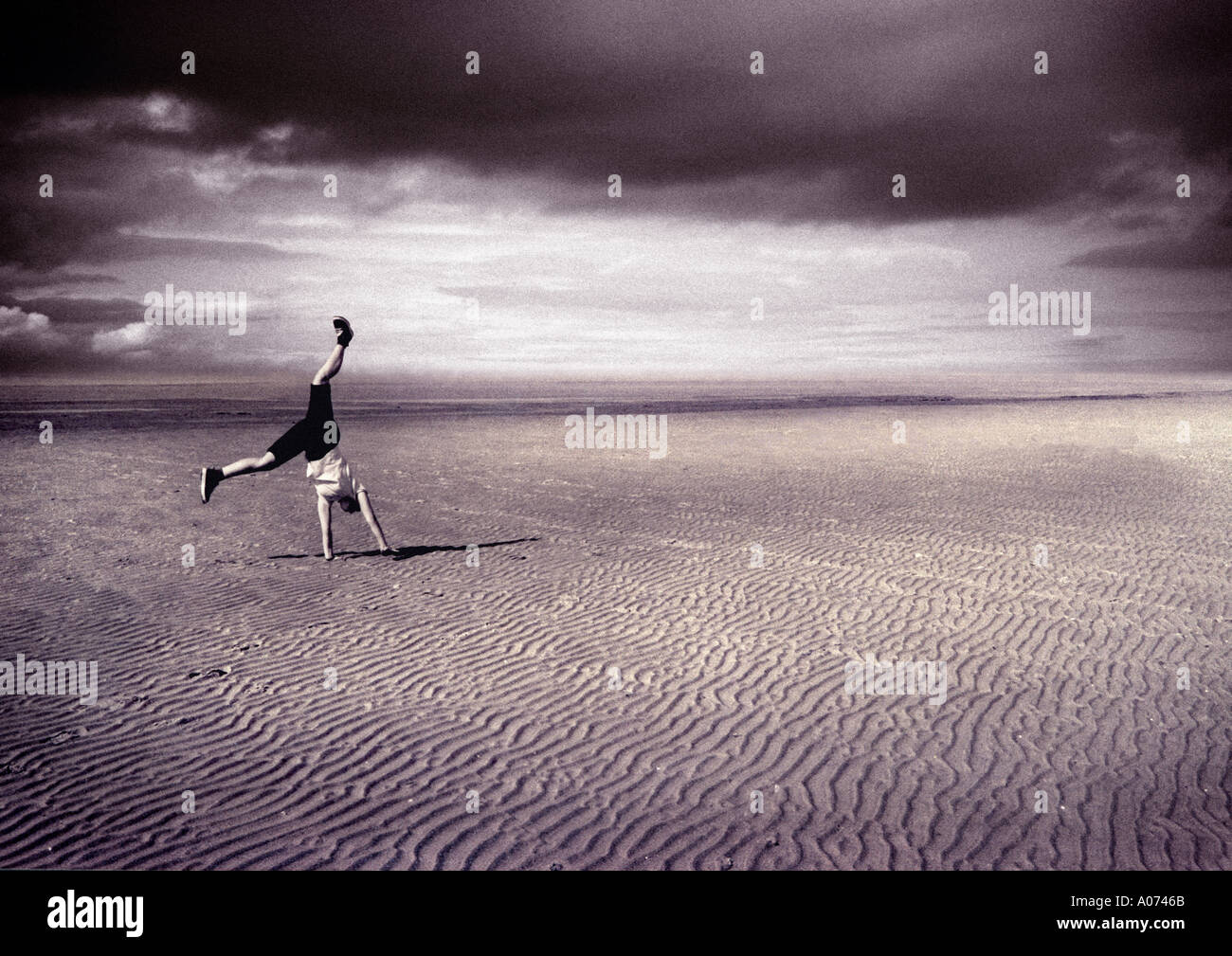 Roue de charrette Banque D'Images