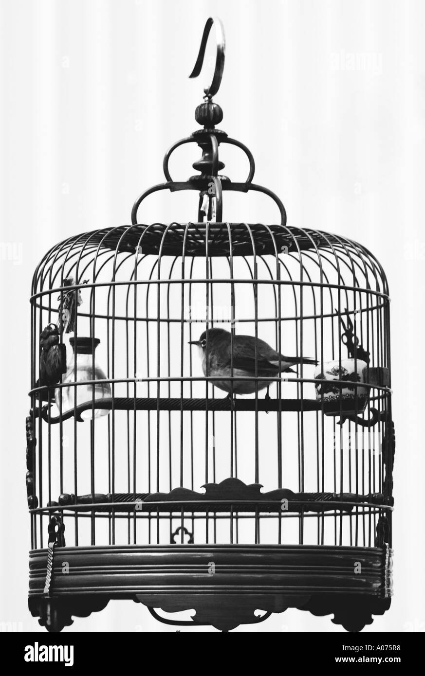 'Une silhouette d'un oiseau en cage" de Hong Kong Banque D'Images