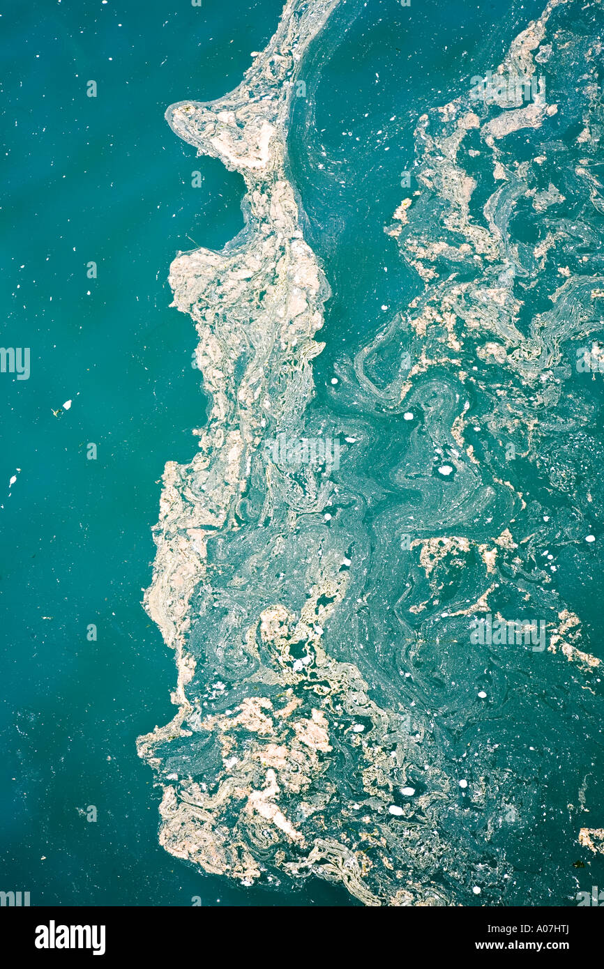 La pollution par les eaux usées écume protéines flottant sur l'eau huileuse dans le lac Washington Ship Canal Seattle États-Unis Banque D'Images