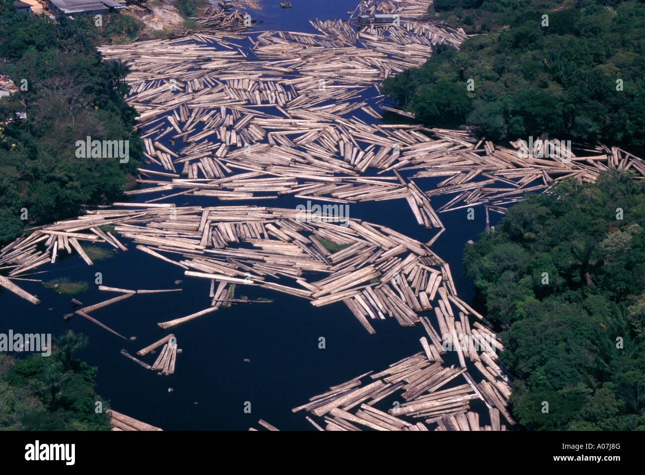 Conduite de grumes, déplacement de troncs d'arbres de la forêt à la scierie en aval en utilisant le courant de la rivière, exploitation forestière, déforestation de la forêt amazonienne, Brésil. Banque D'Images