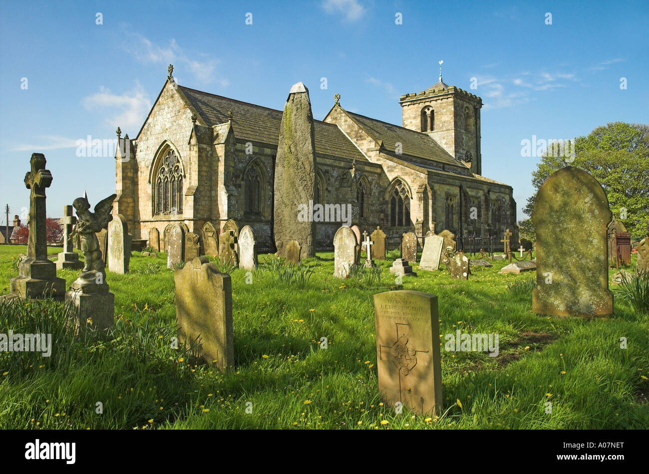 Rudston pierre monolithe dans le cimetière de All Saints Church, Rudston, East Yorkshire, Angleterre, Royaume-Uni. Banque D'Images