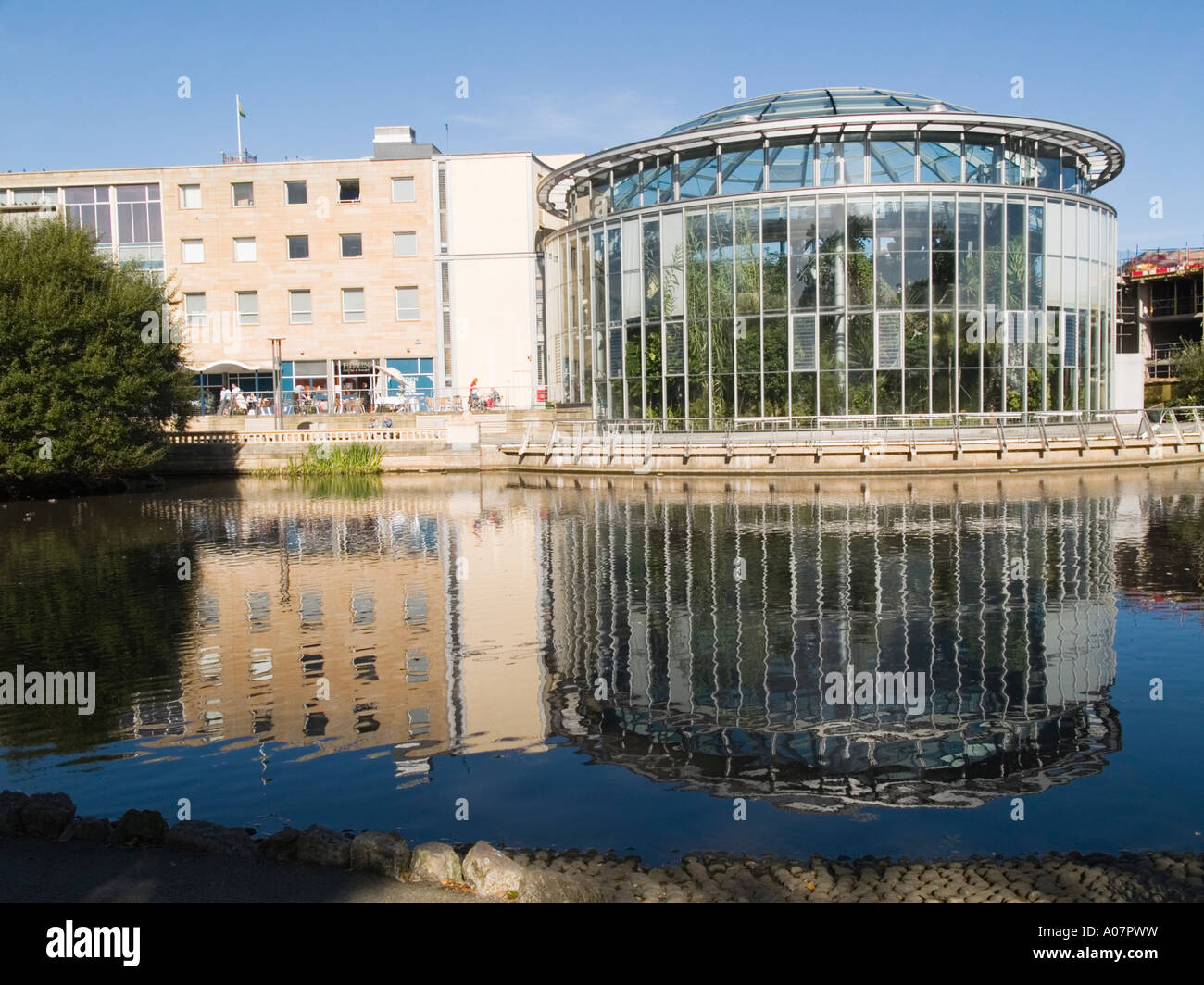 Jardins d'hiver d'un conservatoire de plantes tropicales au musée à Sunderland Tyne et Wear UK Banque D'Images