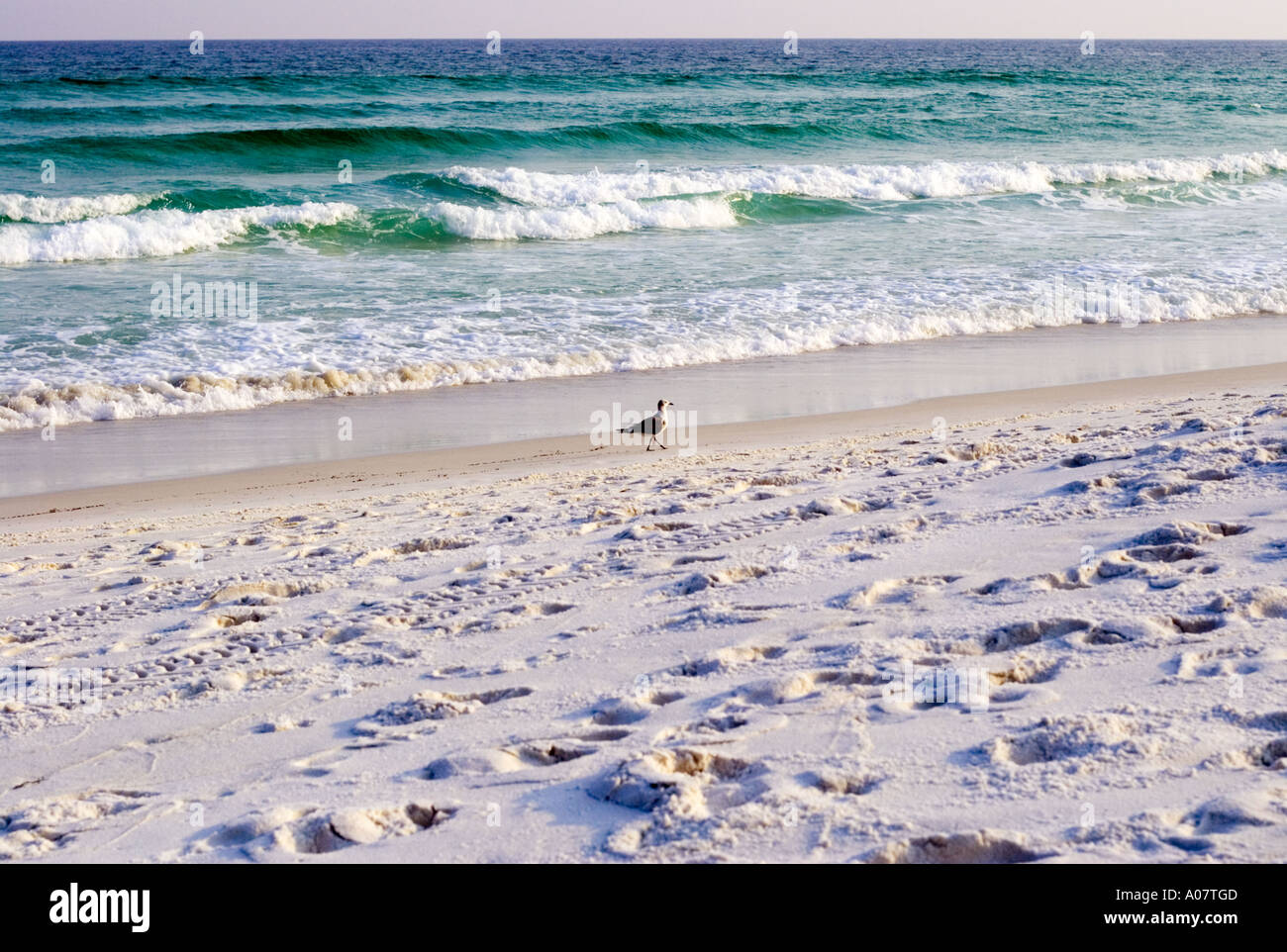 Sur Sandpiper beach Destin Florida USA Banque D'Images