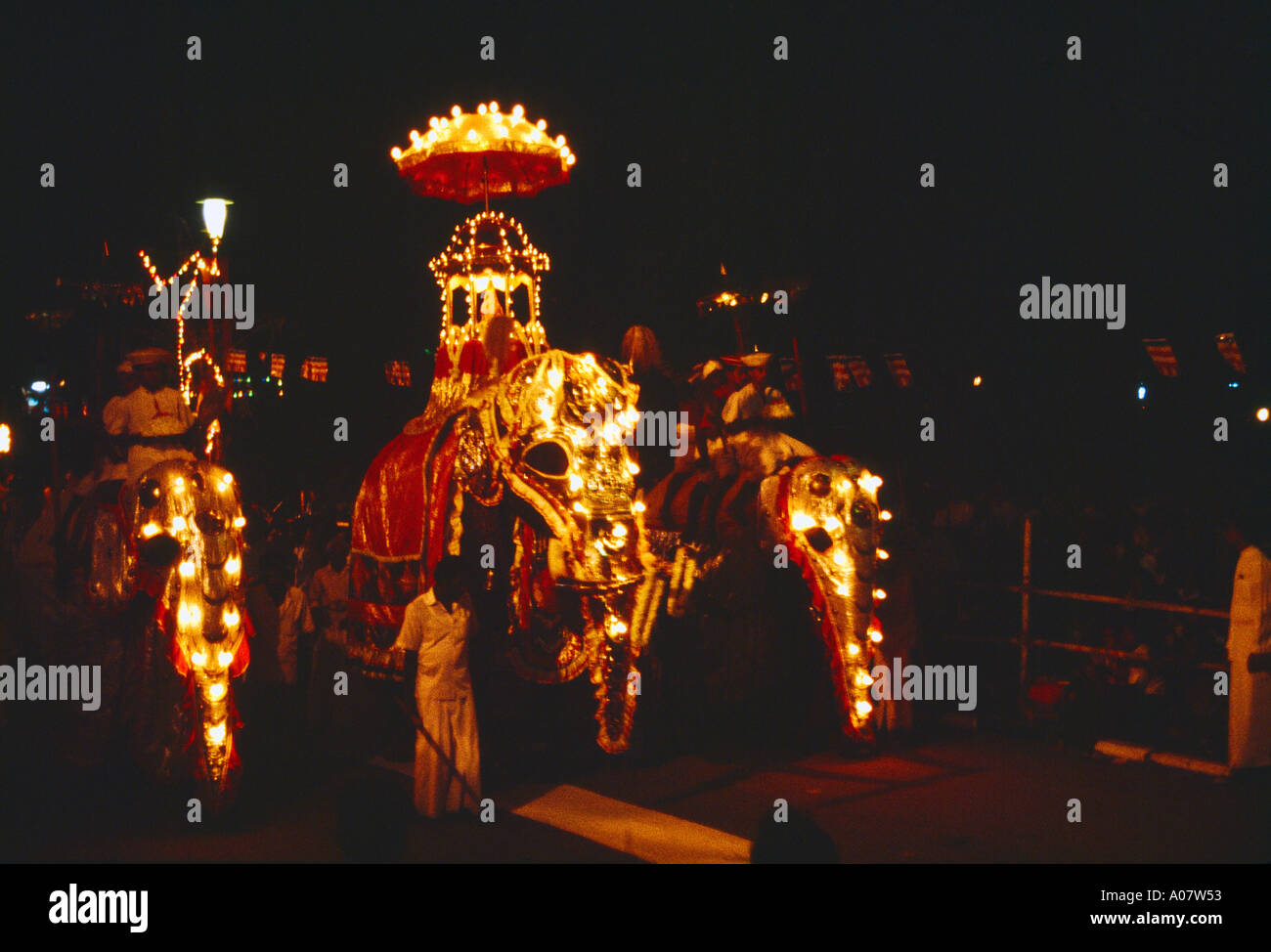 Kelaniya Sri Lanka le Festival de la dent (Kandy Esala Perehera) avec la défenses cérémonielles portant le cercueil avec une réplique de la dent Illumin Banque D'Images