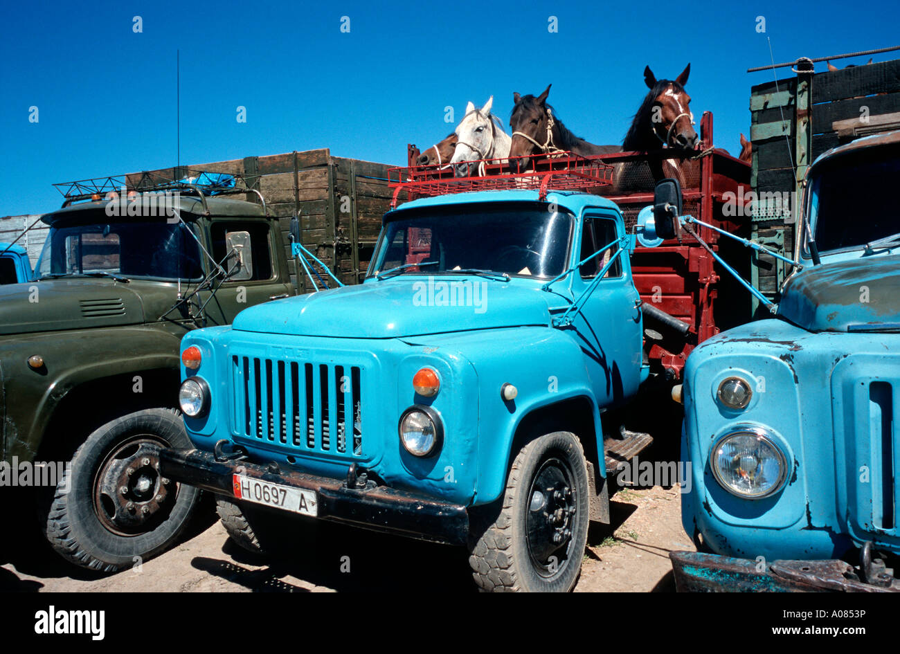 17 juin 2006 - Chevaux sur un chariot à l'lifestock marché dans la ville de Kochgor. Banque D'Images