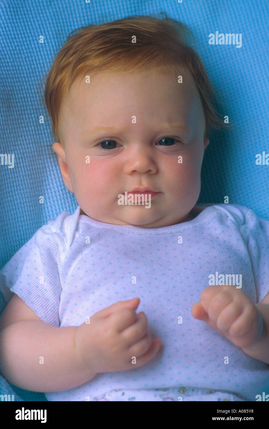 Portrait De Bebe Bebe Fille Rousse Regarde Droit Devant Allonge Sur Couverture Bleue Photo Stock Alamy Portrait De Bebe Bebe Fille Rousse Regarde Droit Devant Allonge Sur Couverture Bleue Photo Stock Alamy