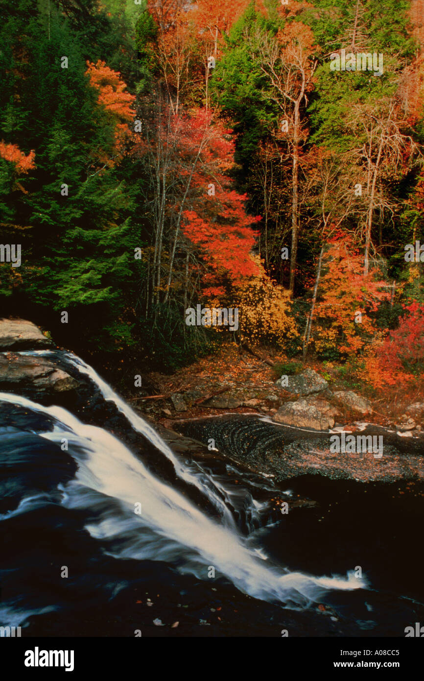 Chute d'eau Cascades à Fall Creek Falls State Park New York en automne Banque D'Images