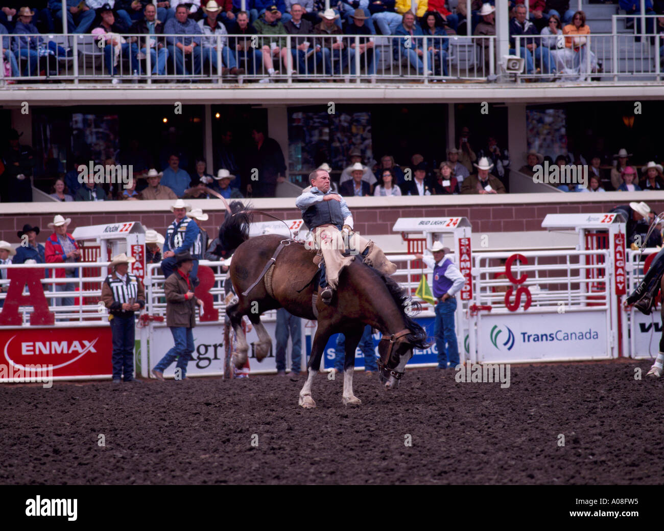 Saddle Bronc riding à 'Le Stampede de Calgary Calgary Alberta Canada' Banque D'Images