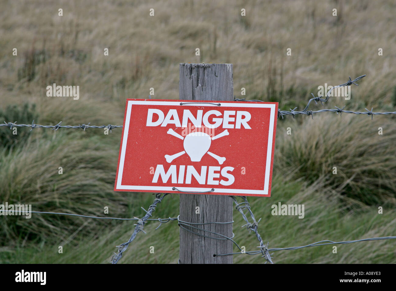 Les mines terrestres Falkland Banque D'Images