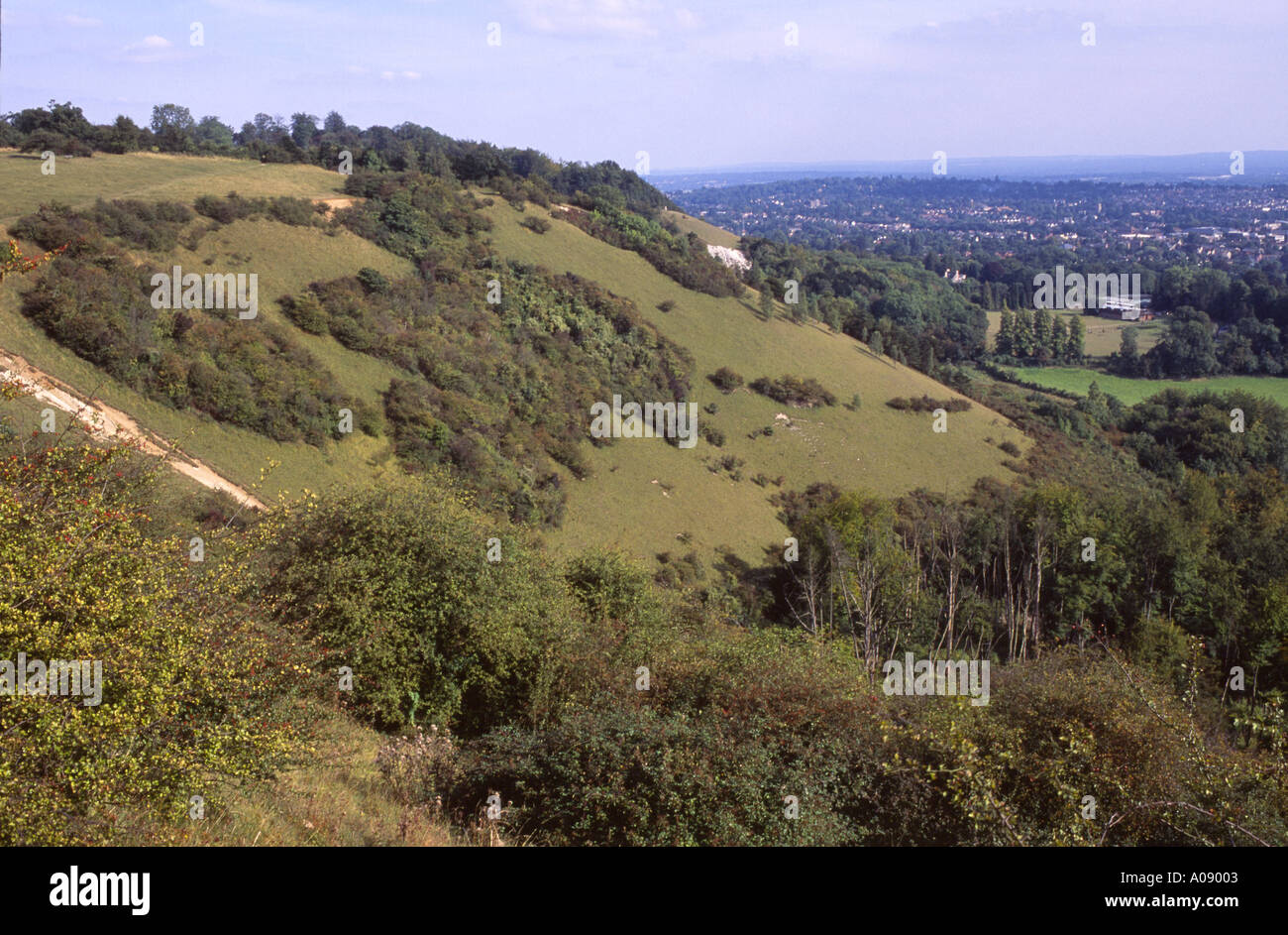 Reigate Hill avec Colley dans la distance North Downs Way Surrey UK Banque D'Images
