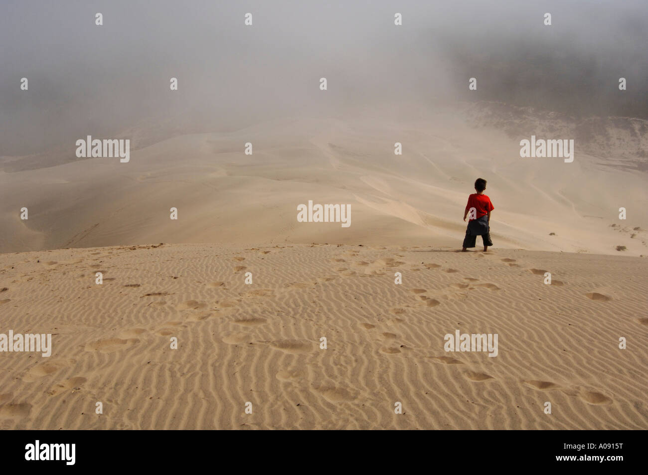 Boy Standing on Sand Dunes, forêt nationale de Siuslaw, Oregon, USA Banque D'Images