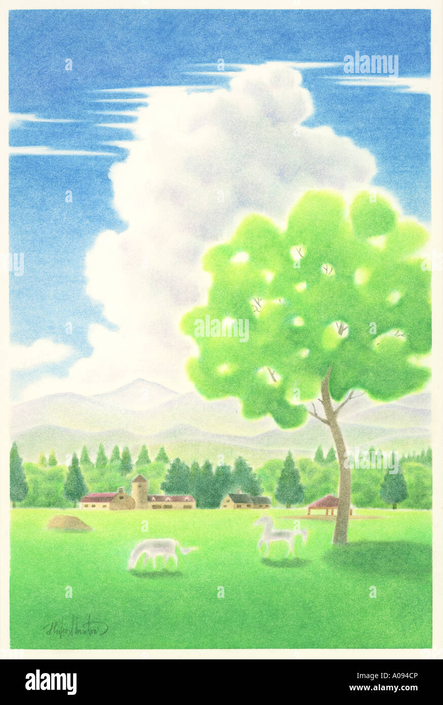 Illustration de deux chevaux dans un pré Banque D'Images