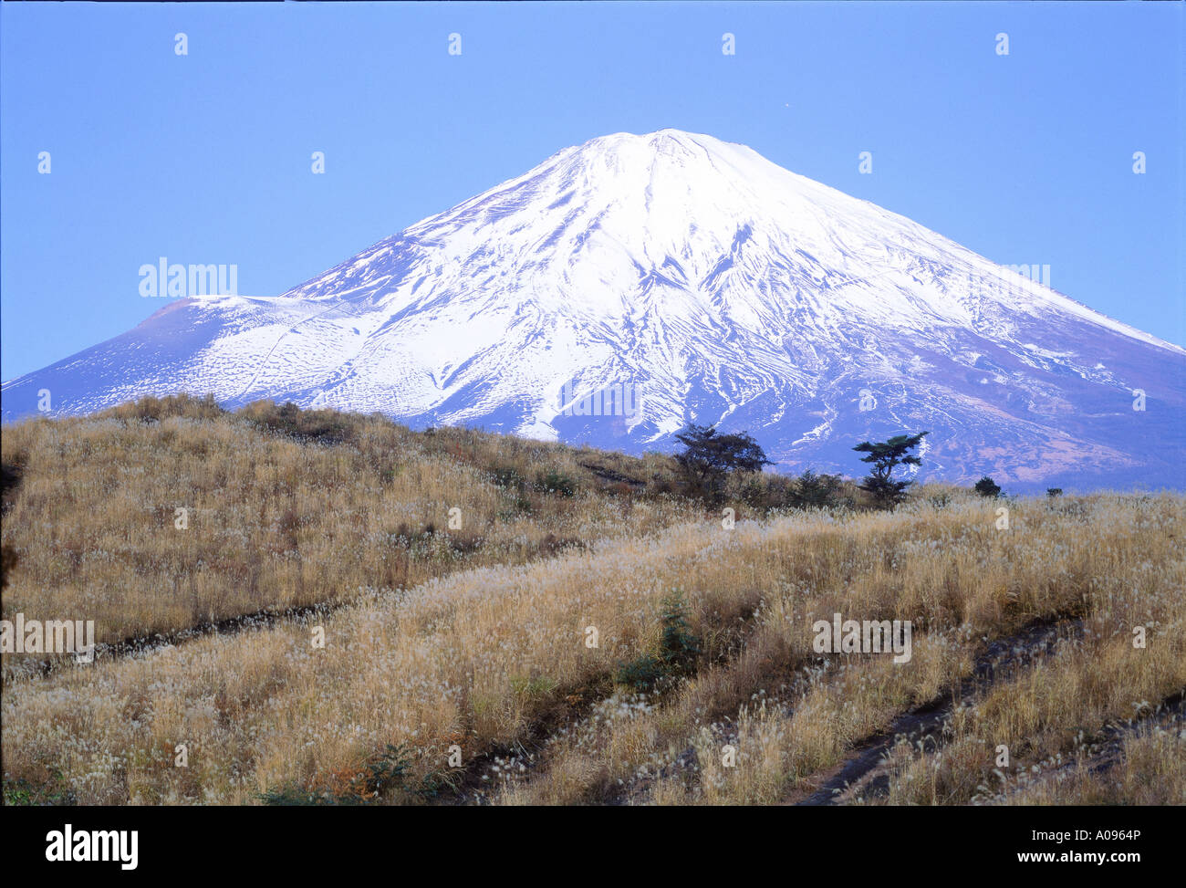 Le Mt Fuji Shizuoka ken Japon Banque D'Images