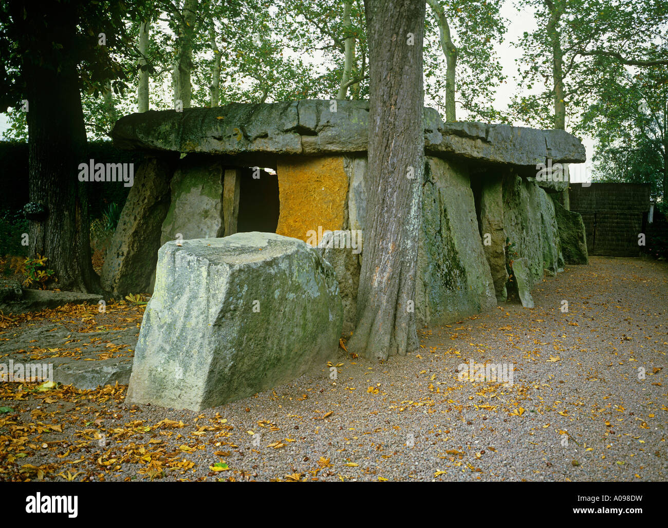 Le Grand Dolmen chambre funéraire massive dans la banlieue de Saumur Bagneux Banque D'Images