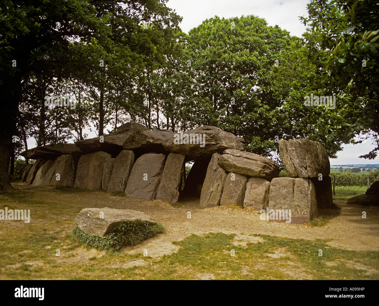 La Roche aux Fées exposés à l'extérieur de la chambre funéraire Esse dans le Nord de la Bretagne Loire type Dolmen parfois connu sous le nom de roches des Fées Banque D'Images