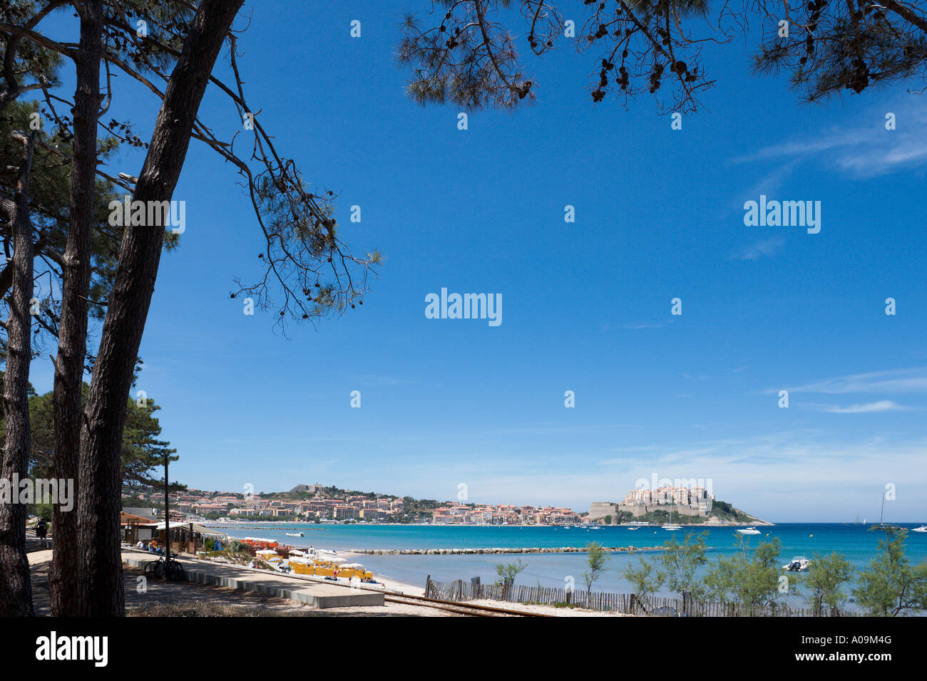 Plage, Calvi, La Balagne, Corse, France Banque D'Images