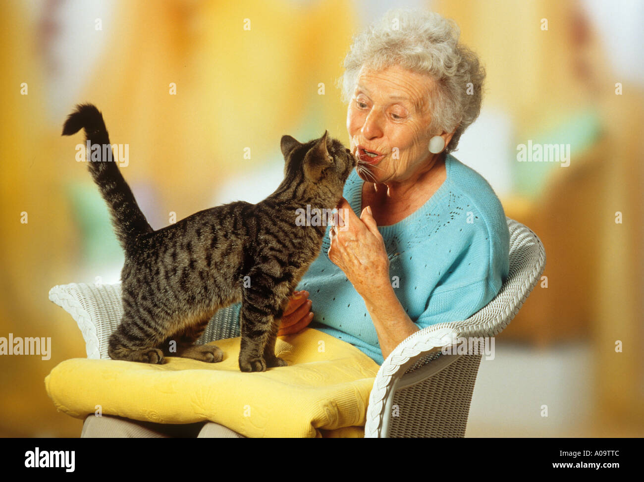 Vieille dame avec cat de parler à un chat, debout sur ses genoux Banque D'Images