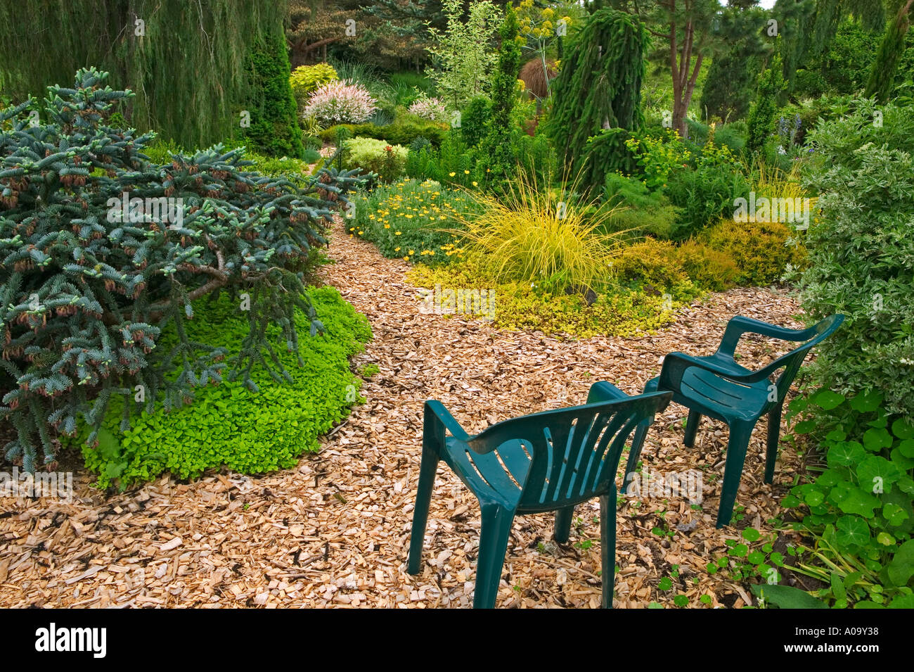 Chaises de jardin dans le nord-ouest de l'Oregon Eugene Nusery Banque D'Images