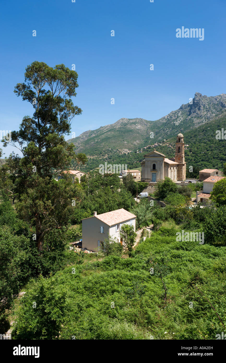 Vue sur le centre du village et l'église de Calvi, La Balagne, Corse, France Banque D'Images