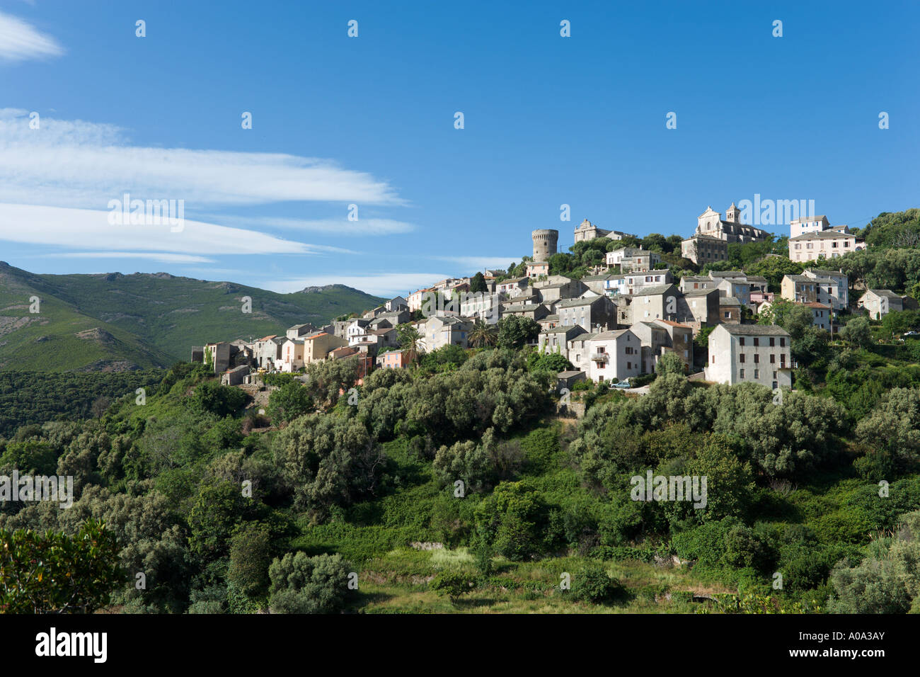 Le village traditionnel de montagne de Rogliano, Cap Corse, Corse, France Banque D'Images
