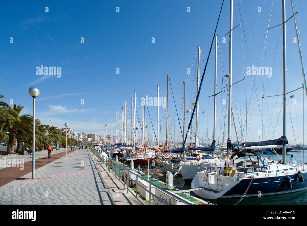 Promenade du front de mer et port de plaisance dans la saison d'hiver, Palma, Majorque, Îles Baléares, Espagne Banque D'Images