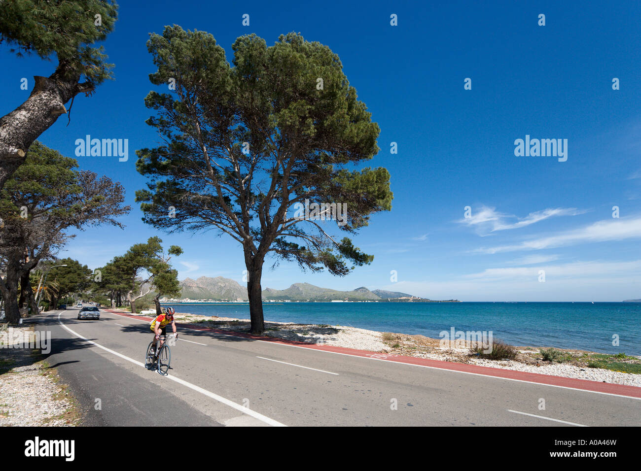 Cycliste sur la route côtière entre Puerto Pollensa et Alcudia, Côte Nord, Majorque, Îles Baléares, Espagne Banque D'Images