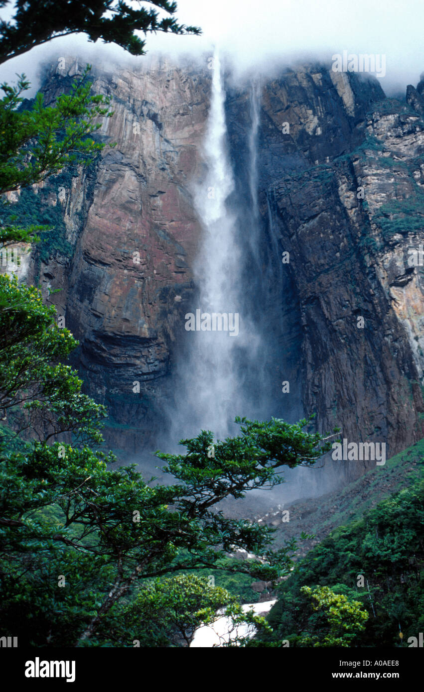 Angel falls venezuela Banque de photographies et d’images à haute ...