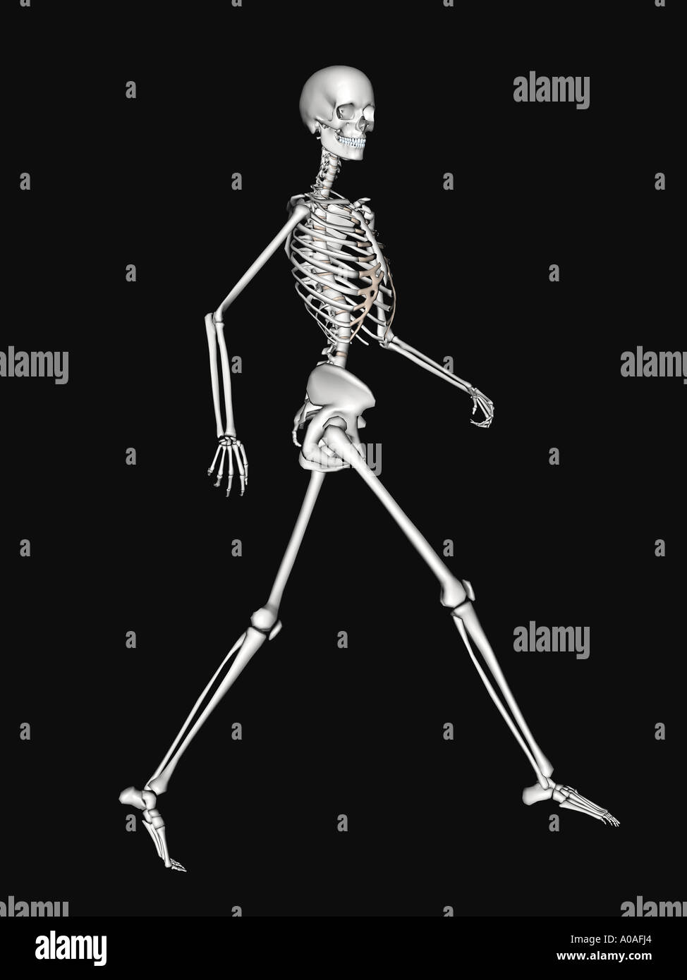 Schéma d'illustration montrant le skeleton walking side shot heureusement Banque D'Images