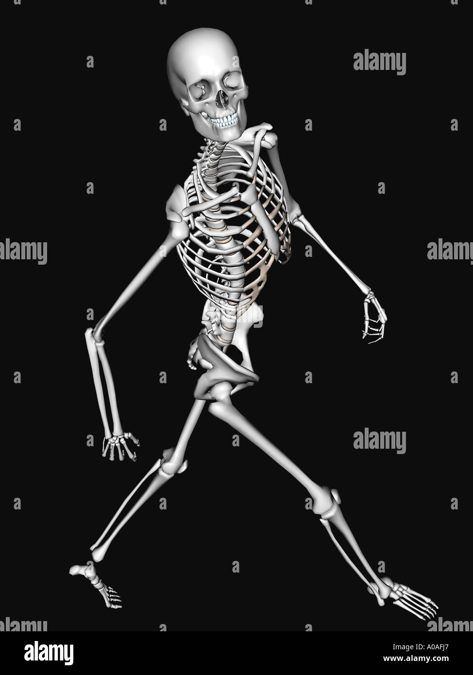 Schéma d'illustration montrant à squelette top shot heureusement Banque D'Images