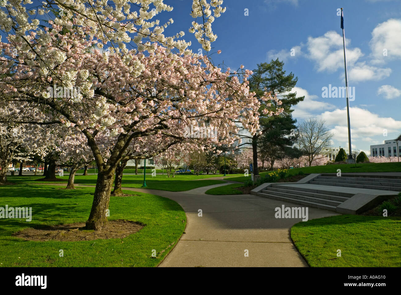 Oregon State Capitol motif Salem Oregon Banque D'Images