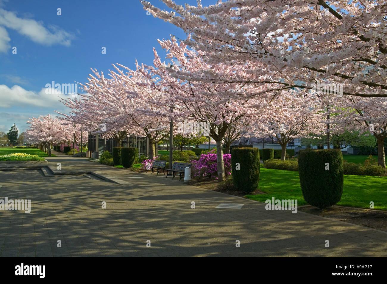 Oregon State Capitol motif Salem Oregon Banque D'Images