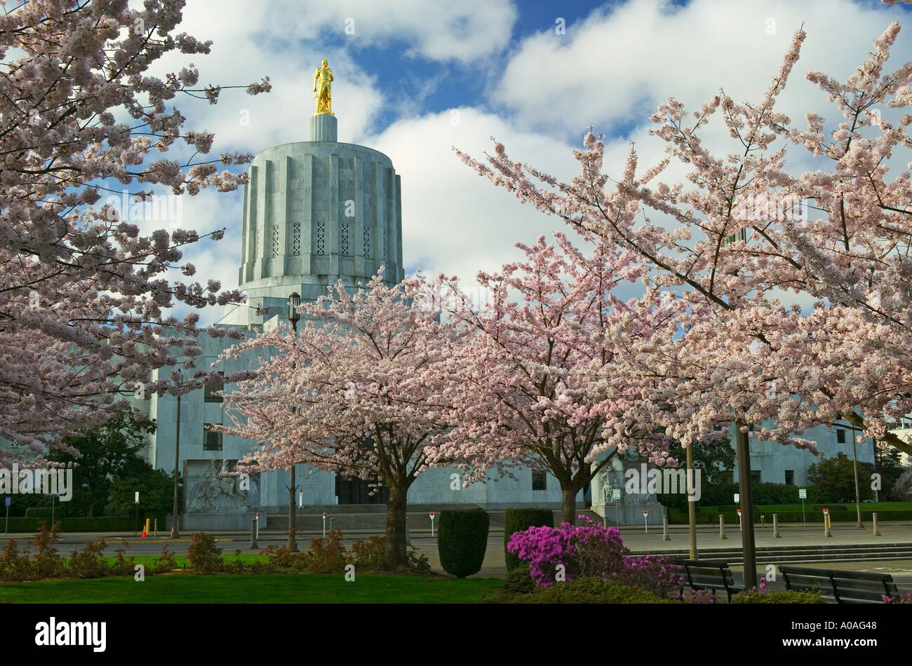 Golden Pioneer statue et fleurs de cerisier à l'Oregon State Capitol Salem OU Banque D'Images