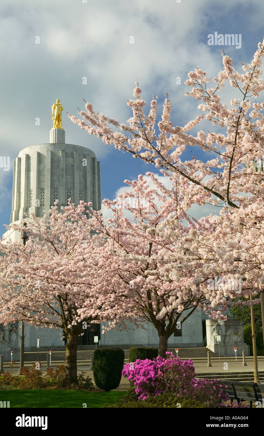 Golden Pioneer statue et fleurs de cerisier à l'Oregon State Capitol Salem OU Banque D'Images