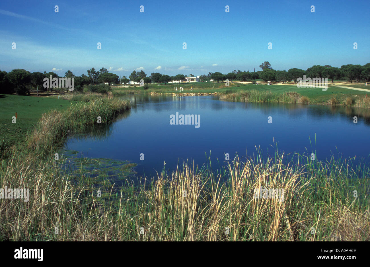 Le golf en Algarve au Portugal Banque D'Images