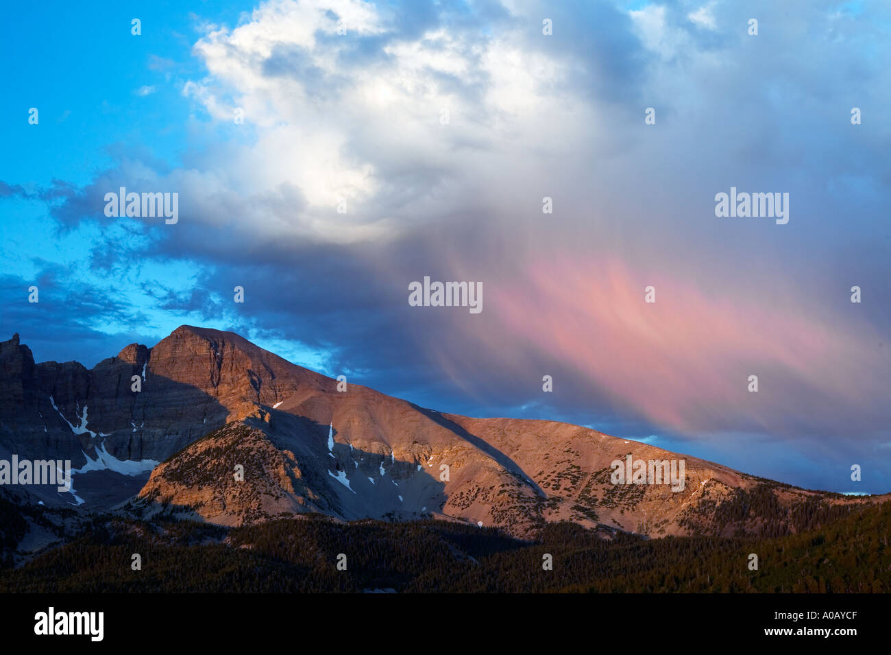 Wheeler Peak au lever du soleil avec la pluie le Parc National du Grand Bassin, Nevada Banque D'Images